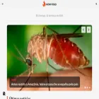novafogo.com.br