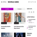 novelsgeek.com