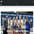npjvolleyball.com
