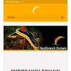 nudibranchdomain.org