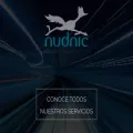 nudnic.com
