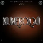 numeroloji.org