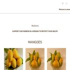 nuzveedumangoes.com