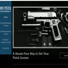 nycpistollicenseconsultant.com