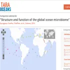 ocean-microbiome.embl.de