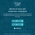 oceanvodka.com