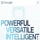octogle.com