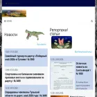 odindarts.ru
