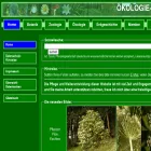 oekologie-seite.de