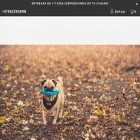 ofertperu.com