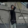 ojeitolife.com