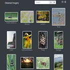 okewoodimagery.com