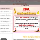 okmb66.com