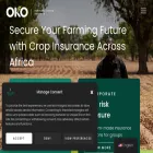 oko.finance