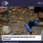 onehealthpoultry.org