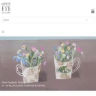 openeyegallery.co.uk