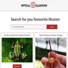 opticalillusionsportal.com