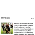 orbitupdates.com
