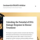 oregontechsupport.com