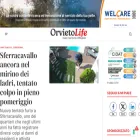 orvietolife.it