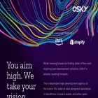 oskyinteractive.com.au