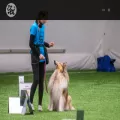 oulunkoirakerho.net
