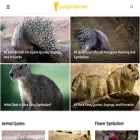ourspiritanimal.com