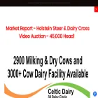 overlandstockyard.com