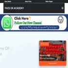 pacegkacademy.com