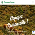 pachamama-voyages.com