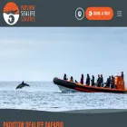padstowsealifesafaris.co.uk