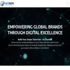 pagetrafficsolution.com