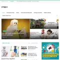 paggu.com