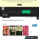 paisajismoyjardin.com
