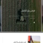 palizstore.com