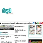 pallavinews.com