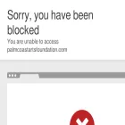 palmcoastartsfoundation.com