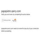 papapietro-perry.com