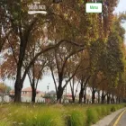 parquecousinomacul.cl