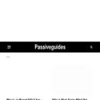 passiveguides.com
