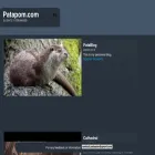 patapom.com