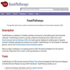 pathway.yeastgenome.org