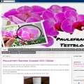 paulefrau-testet.blogspot.de