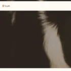 pawquillo.com