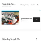 paystubsntaxes.com