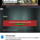 pedroreinarojas.com