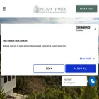 pelionhomes.com