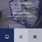 penguinecommerce.com