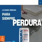 perdura.com.mx