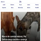 pet.istoe.com.br